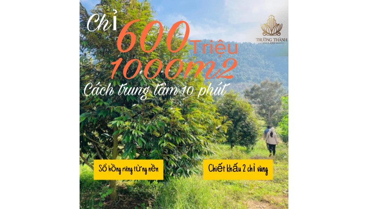 Bán đất vườn mít Ngọc Định 1000m2 giá cực rẻ chỉ từ 580 triệu.
